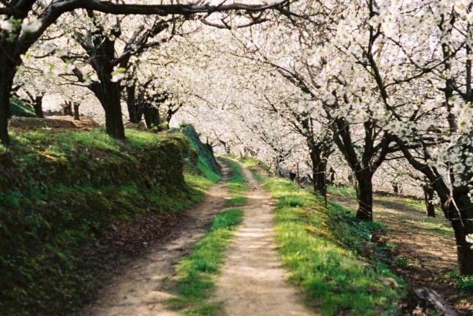 Apartamento Rural San Jorge Bajo 나바콘세호 외부 사진